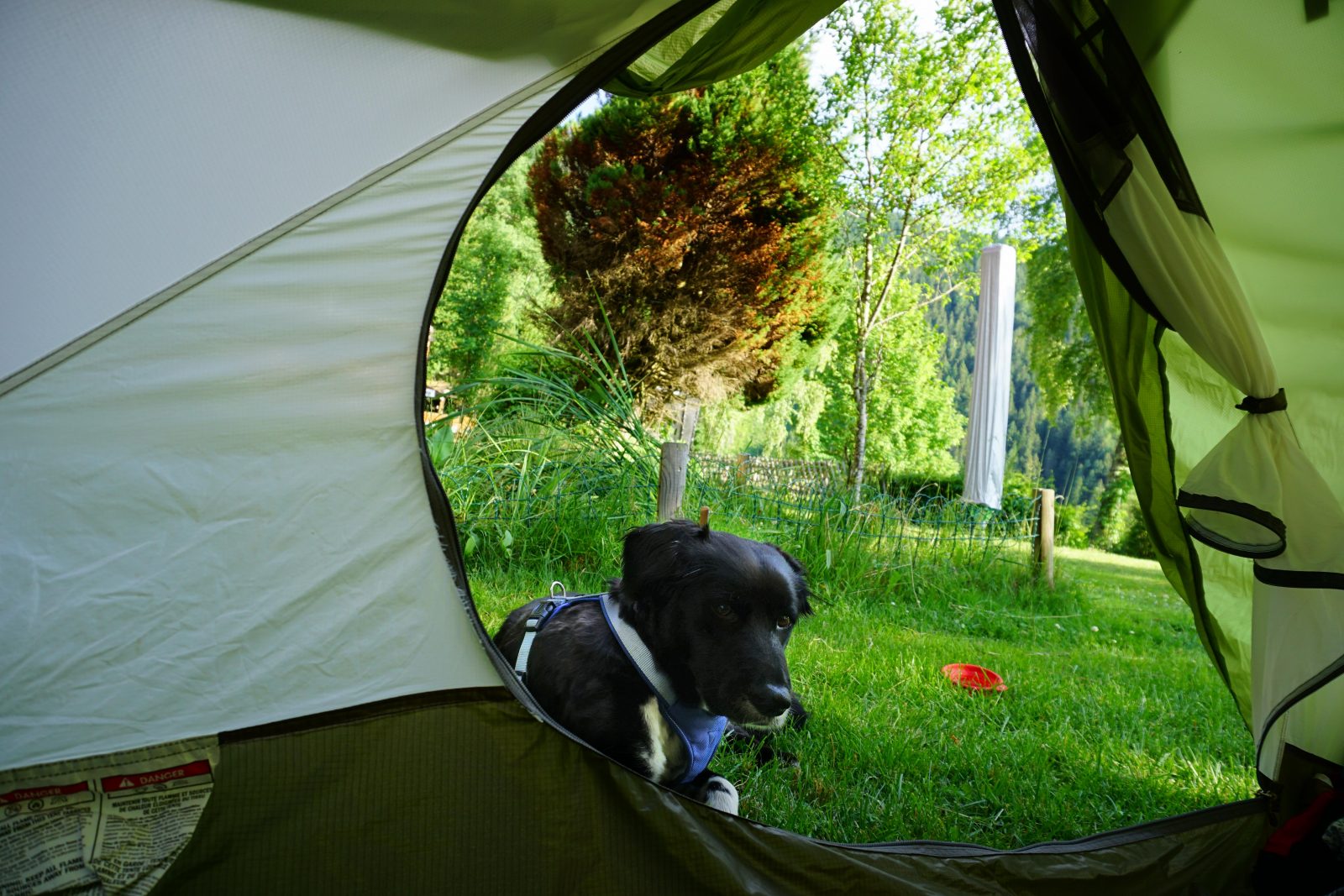 Camping mit Hund